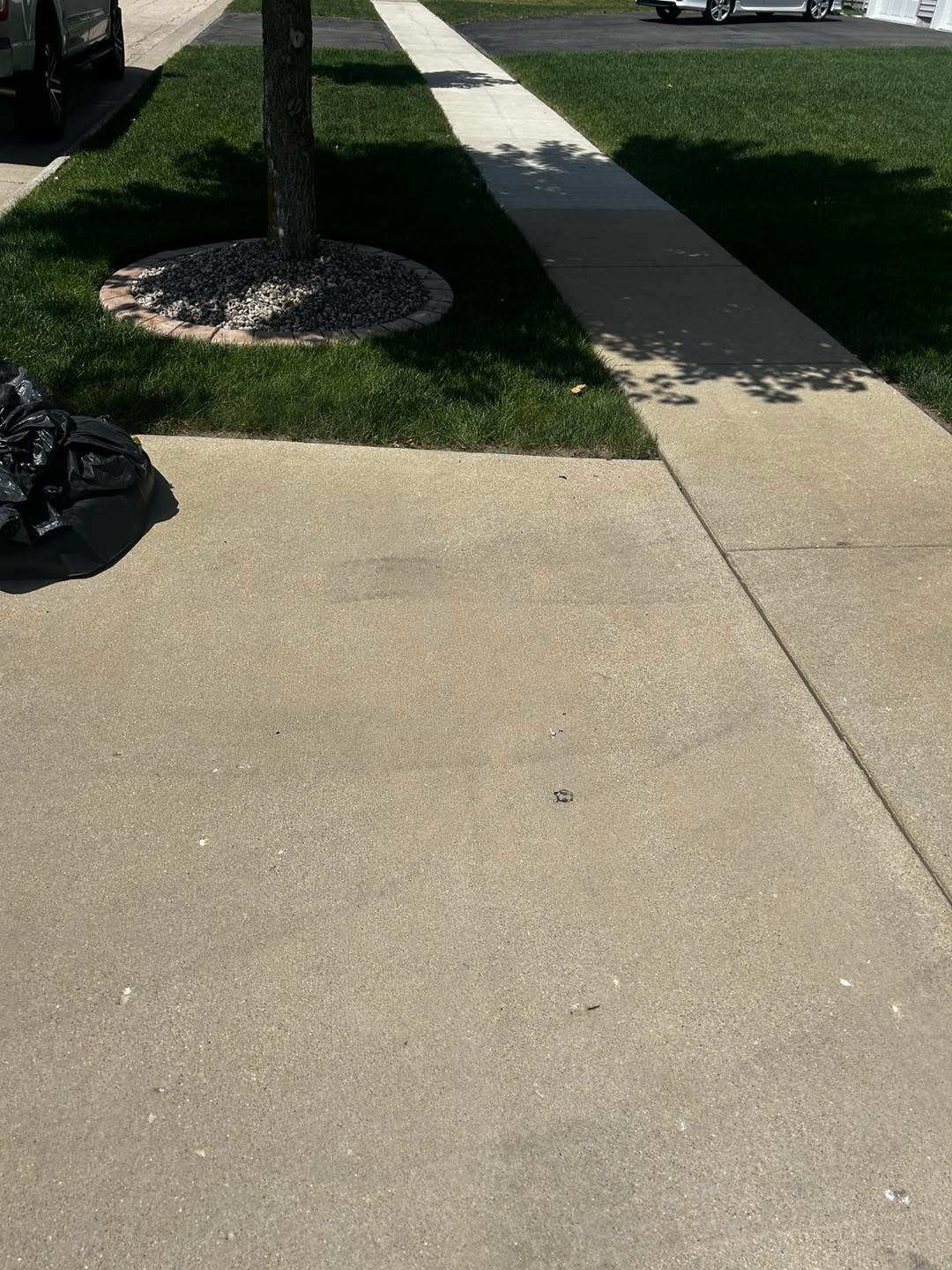 Before - Driveway Pressure Washing