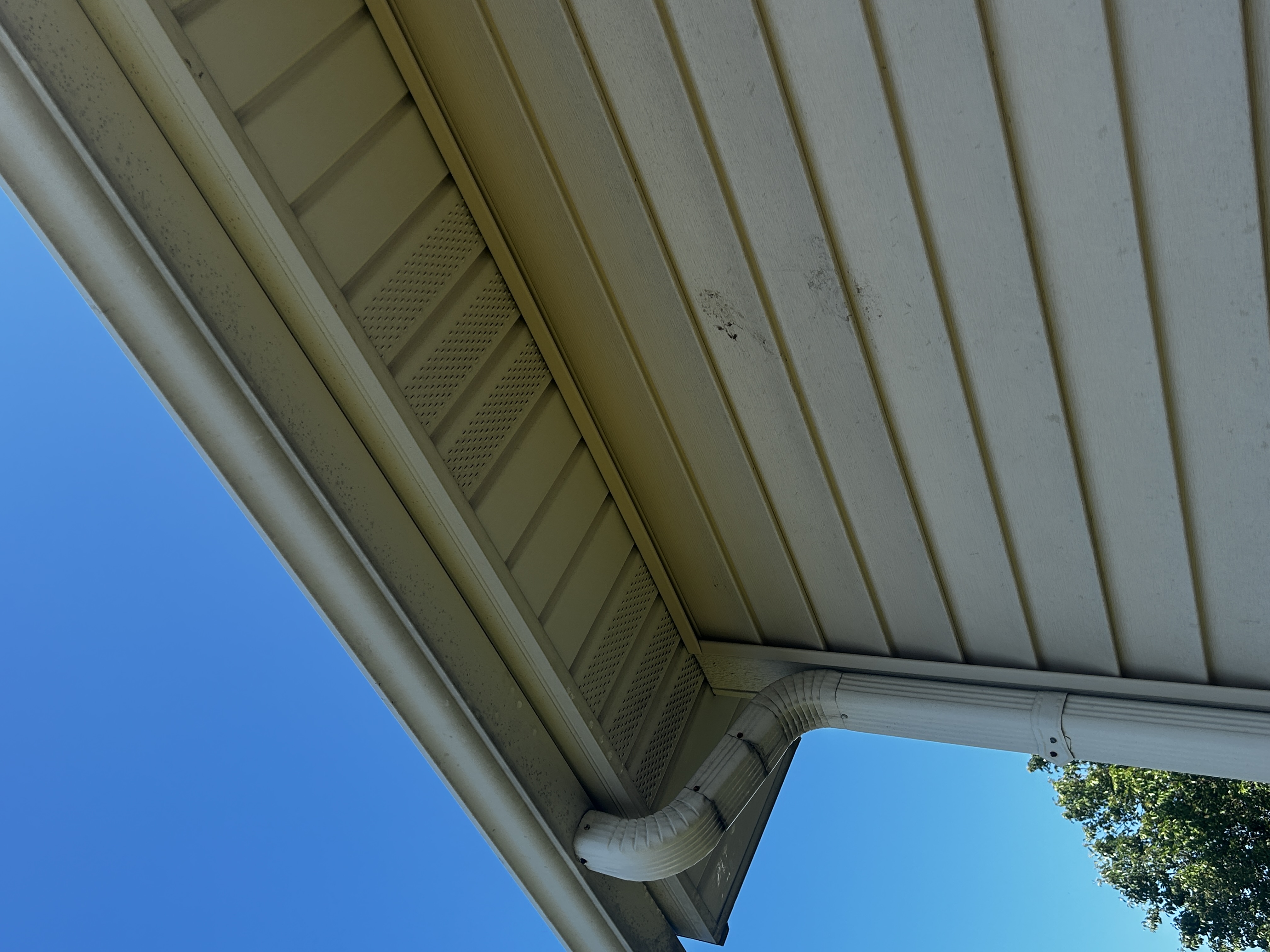 Before - Gutter Cleaning